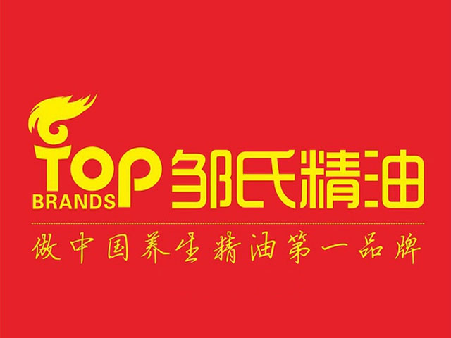 鄒氏集團2